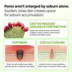 [Dr.Melaxin Official] CACTOX PORE RELIEF MULTI BALM with Cactus Cooling Reduce Puffiness & Pore Tightening for Visible Pore Care Skin Repair