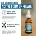 L- Methylfolate 15mg + B12 Pro Strength, Liquid 5-MTHF Form, Supports Mood, Methylation, & Cognition Supplement Energy Levels Vitamin Methylcobalamin