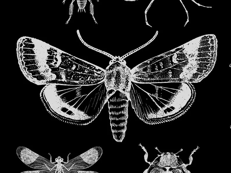 Gothic tapestry aesthetic Moth tapestry Insect decor Bug art Dark wall art Wiccan hanging wall art Goth wall art witchcraft