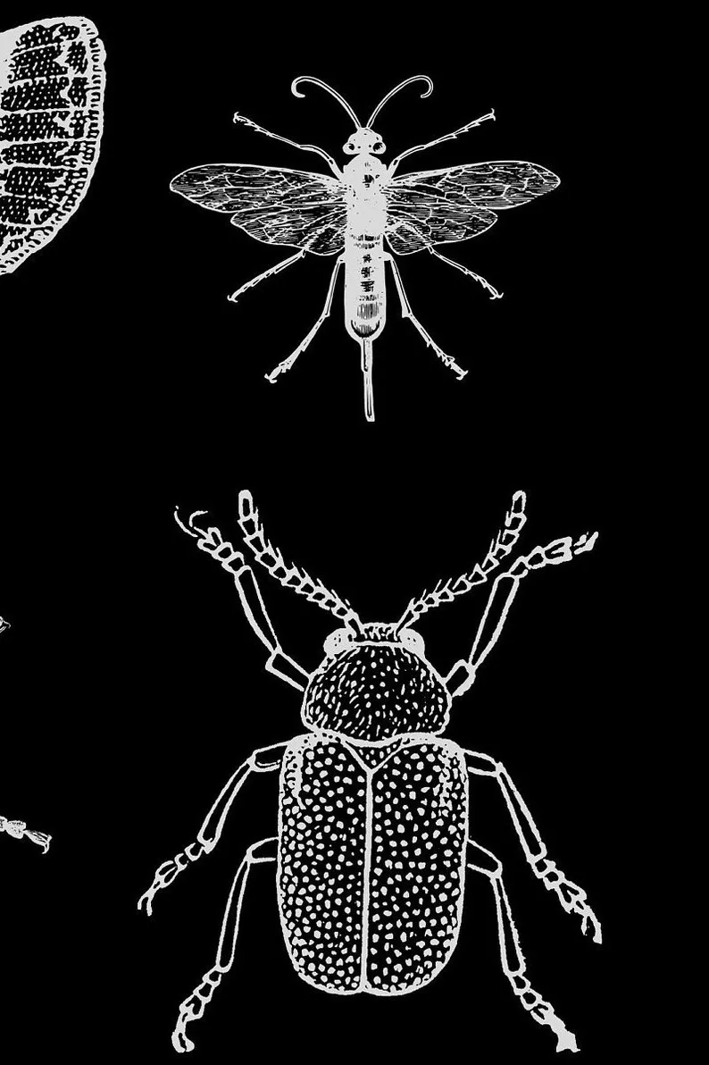 Gothic tapestry aesthetic Moth tapestry Insect decor Bug art Dark wall art Wiccan hanging wall art Goth wall art witchcraft