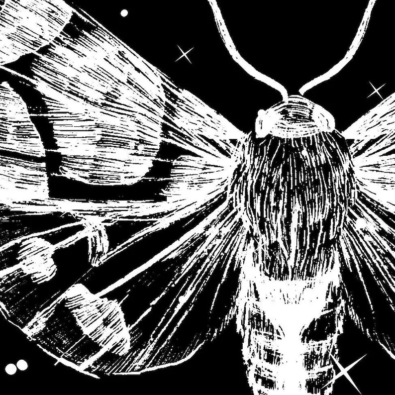 Moth tapestry Dark Moon tapestry aesthetic Goth tapestry Hippie wall art Insect art Spiritual decor Wiccan Gothic for her